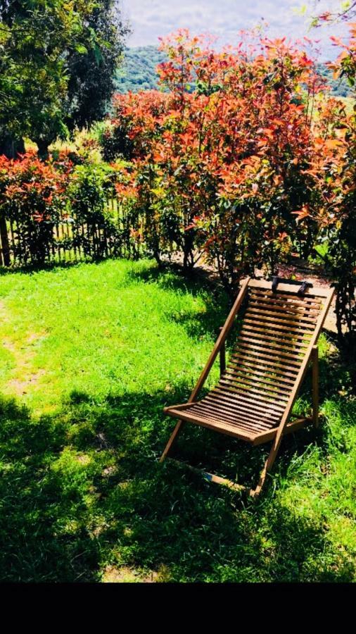 A Fata Di L'Ortolo Gites A La Ferme Sartene  Ngoại thất bức ảnh